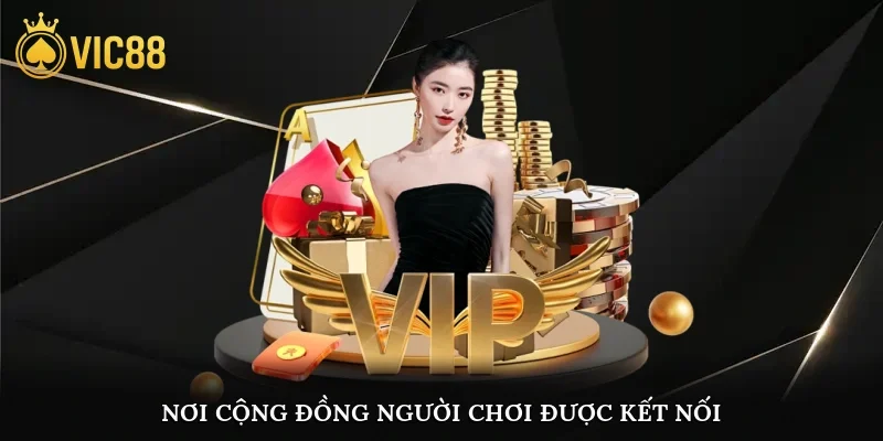 Nơi cộng đồng người chơi được kết nối và trân trọng
